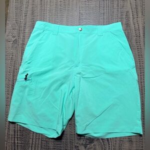 Ocean Coast Bright Mint Shorts